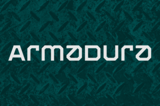 Armadura Family: A Practical Evaluation for Your Home Security Decisions