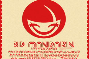 BD Mandarin: What Sets It Apart and How to Evaluate It Against Other Language Learning Options