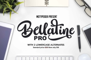 Bellatine: A Practical Guide to Making the Right Choice