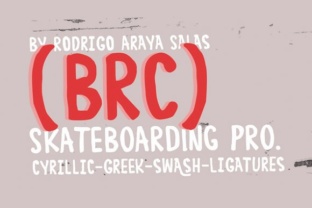 Brand-Response Connection (BRC): A Strategic Framework for Better Decision-Making and Results