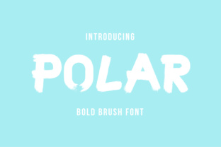 How Polar Transforms Your Creative Process