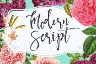 Modern Script: More Than Just Beautiful Lettering