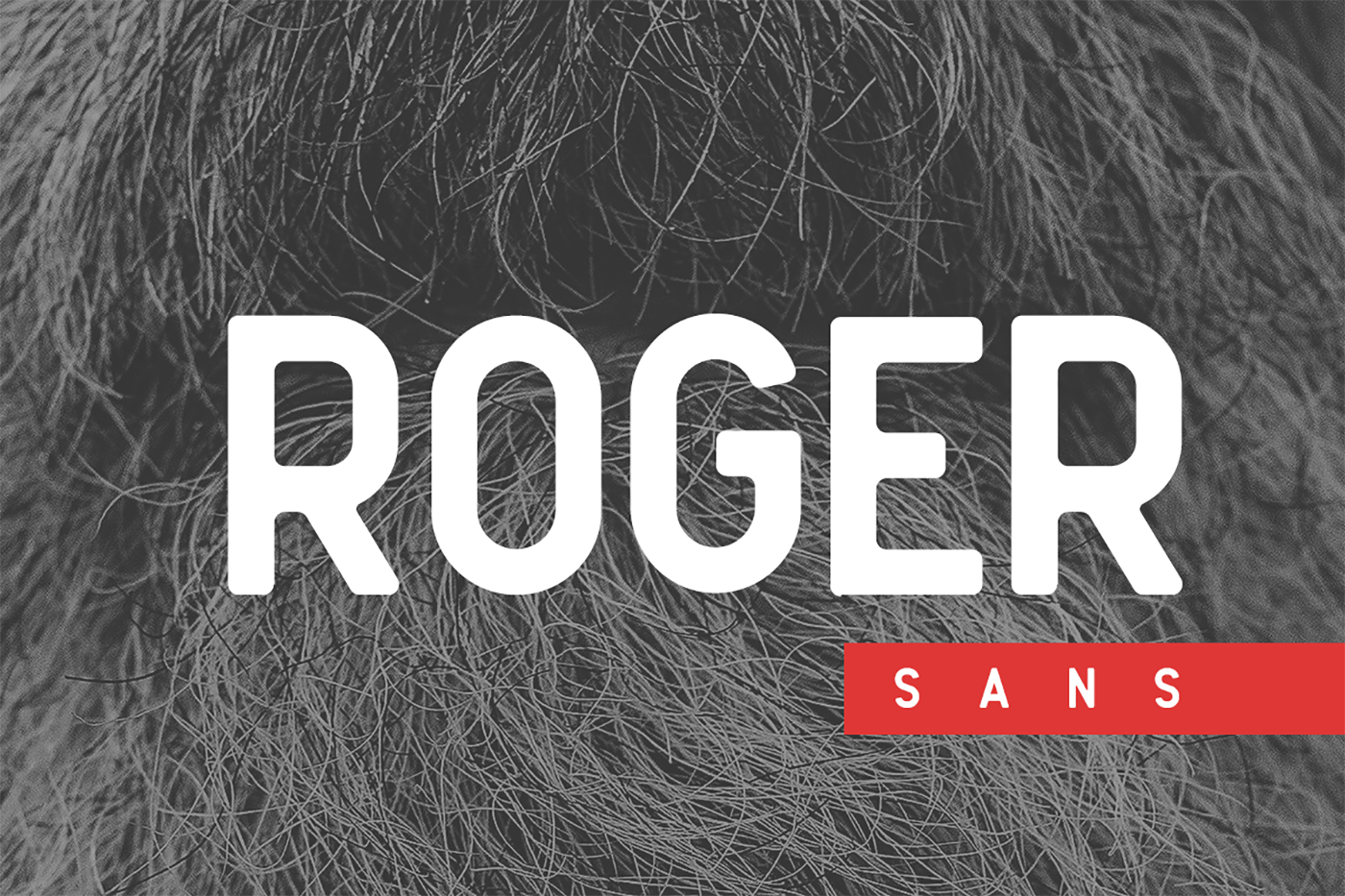 Roger Sans: A Modern Typeface for Everyday Creativity