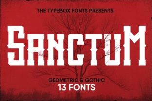 Sanctum Inky Collection: A Versatile Ink Set for Every Creative Need