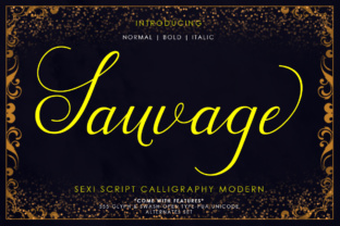Sauvage: A Display Font with Character and Grit
