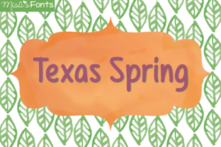 Texas Spring: A Natural Choice for Hydration and Taste