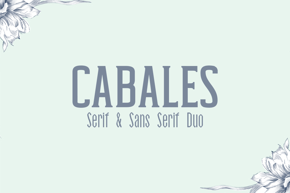 Understanding Cabales: A Practical Framework for Informed Decision-Making