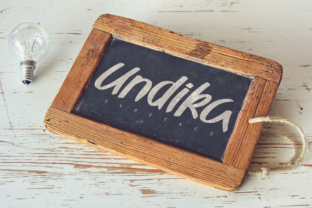 Undika: A Practical Guide to Understanding Its Role in Modern Workflows